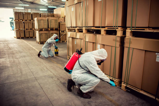Best Pest Control Near Me  in Glenville, WV