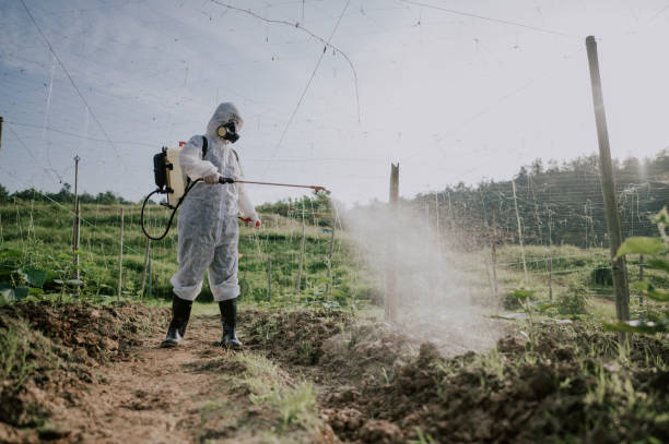 Best Local Pest Control Services  in Glenville, WV