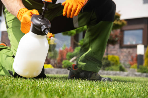 Best Termite Control Services  in Glenville, WV