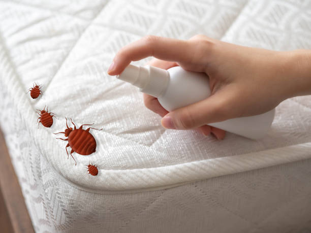 Pest Prevention Services in Glenville, WV