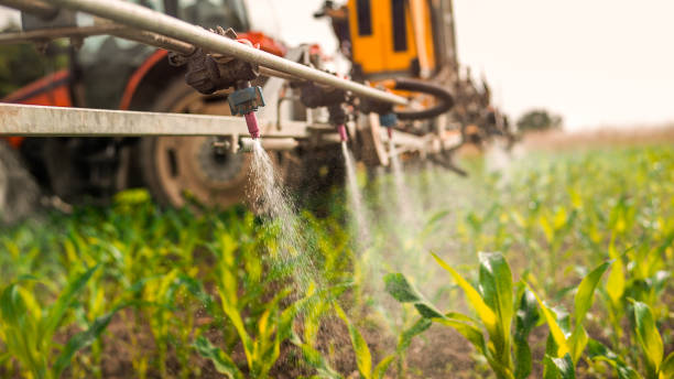 Reliable Glenville, WV Pest Control Solutions